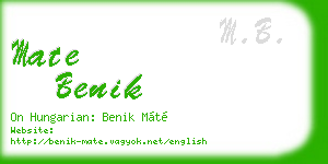 mate benik business card